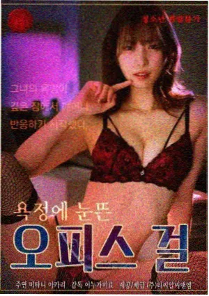 韩国电影恩娇门框与窗棂构图示意